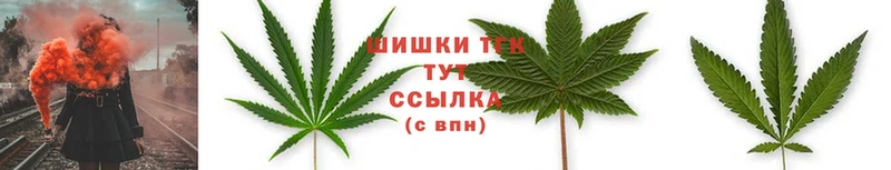 Конопля OG Kush  Крым 